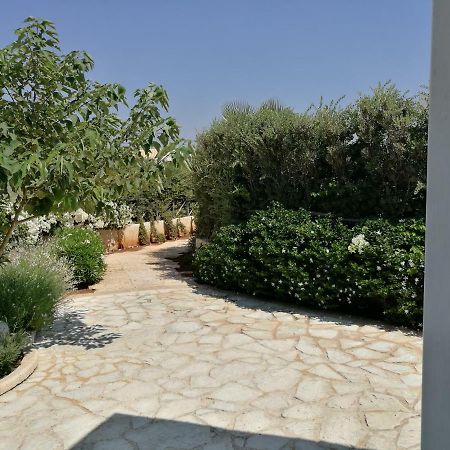 La Conchiglia Βίλα Petrosino Εξωτερικό φωτογραφία