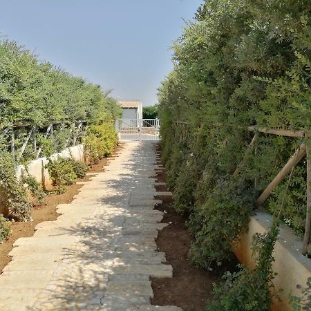 La Conchiglia Βίλα Petrosino Εξωτερικό φωτογραφία